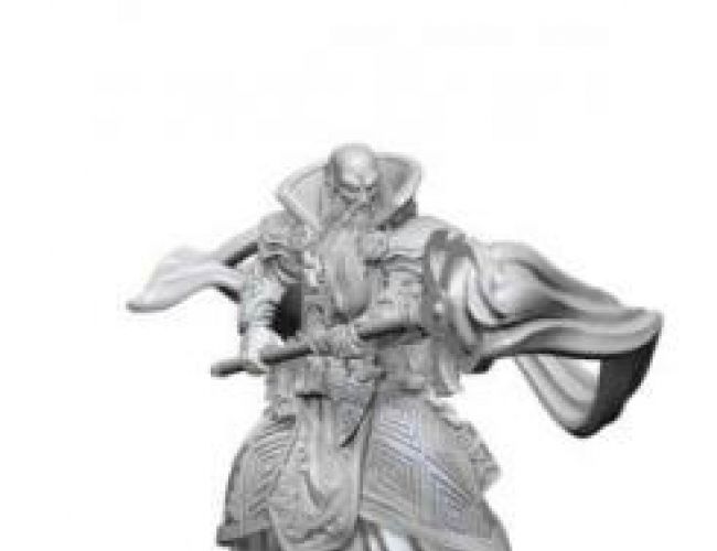 UNPAINTED MINIS: HUMAN WIZARD