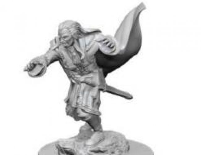 UNPAINTED MINIS: VAMPIRES