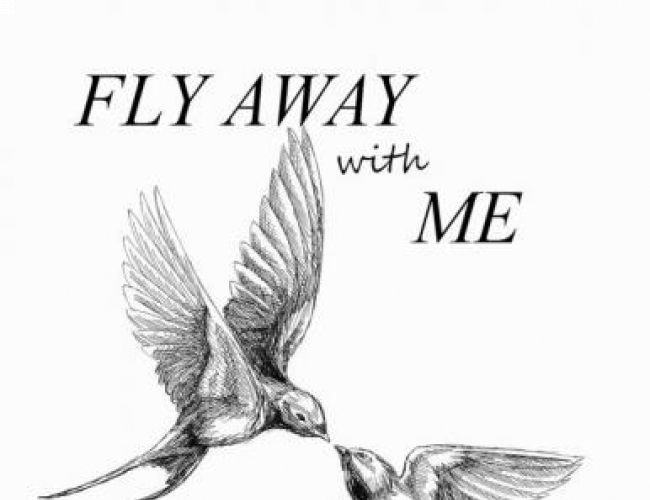 FLY AWAY WITH ME by Ryan Power and Meg Inques