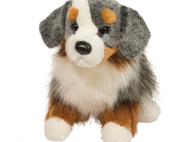 DOUGLAS 2019 SINCLAIR AUSTRALIAN SHEPHERD
